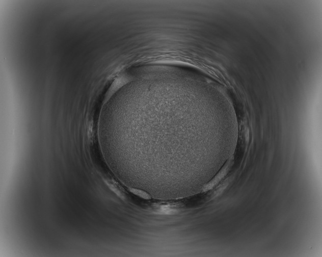 X0000086230564200704051159