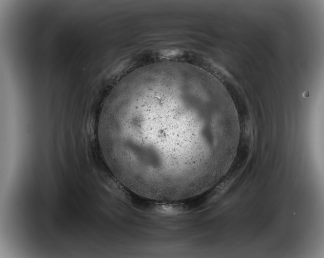 X0000086230565200704051159