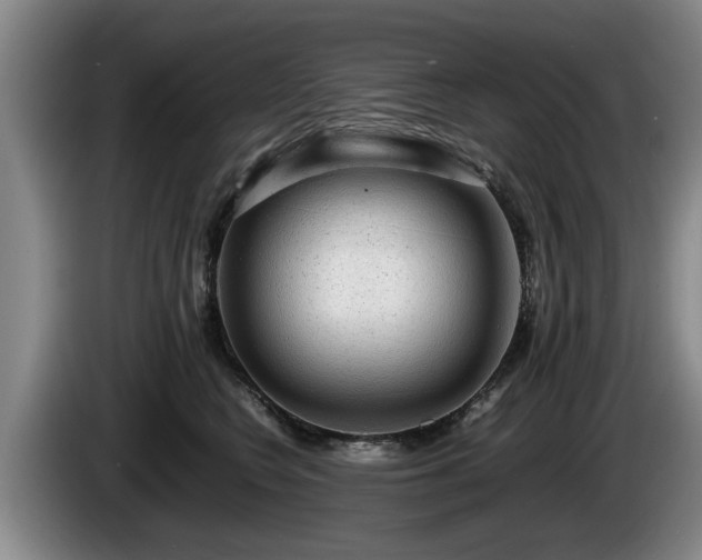 X0000086230566200704051159