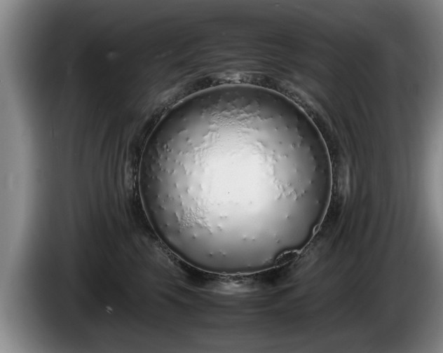 X0000086230569200704051159