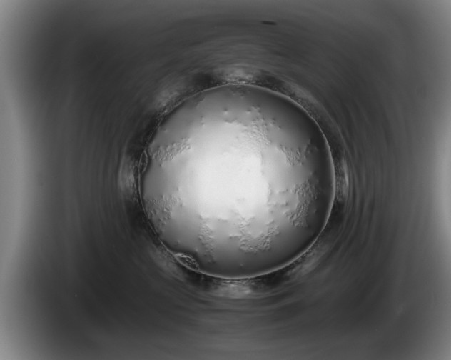 X0000086230573200704051159