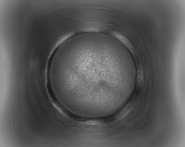 X0000086230578200704051158