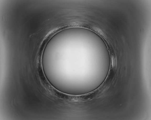 X0000086230579200704051158