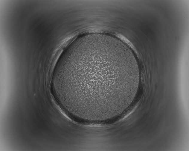 X0000086230581200704051158