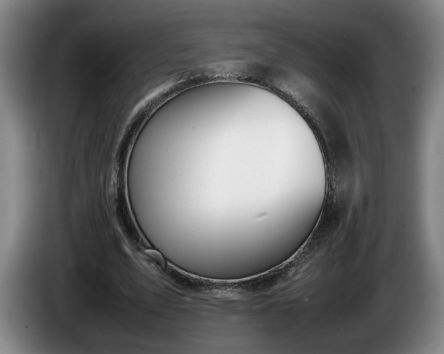 X0000086230583200704051158