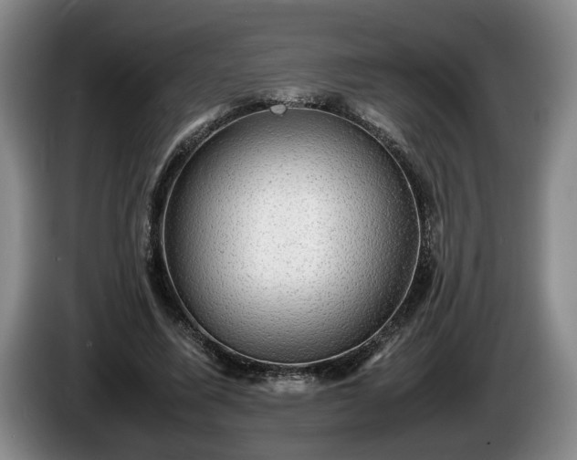 X0000086230587200704051158