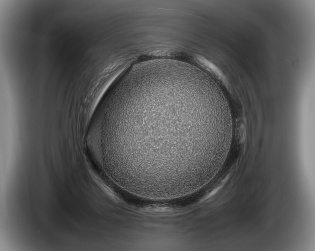 X0000086230589200704051158