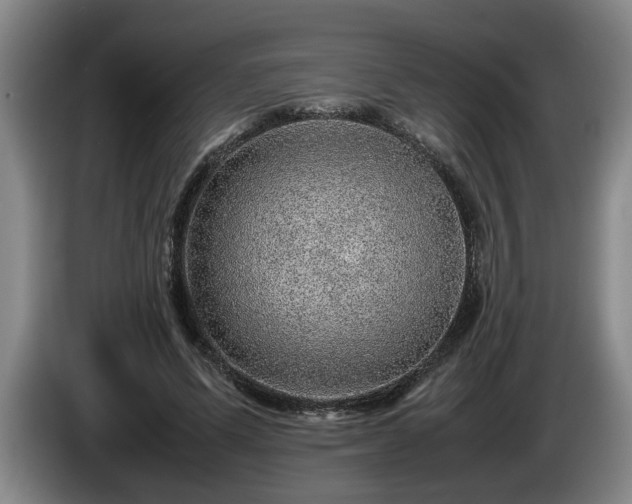 X0000086230591200704051158