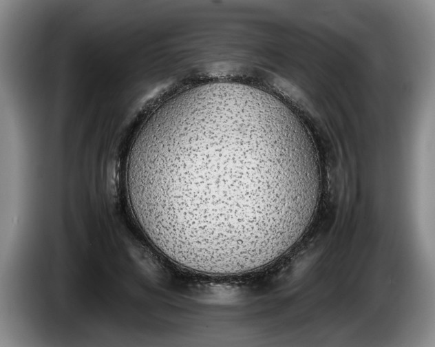 X0000086230592200704051158