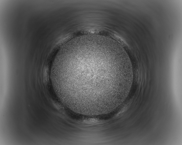 X0000086230594200704051158