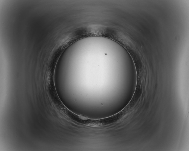 X0000086230595200704051158