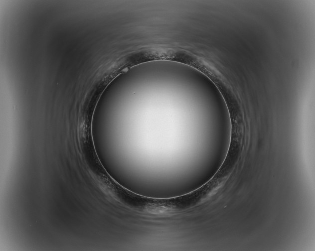 X0000086230597200704051158