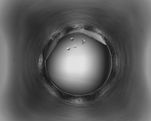 X0000086230600200704051158