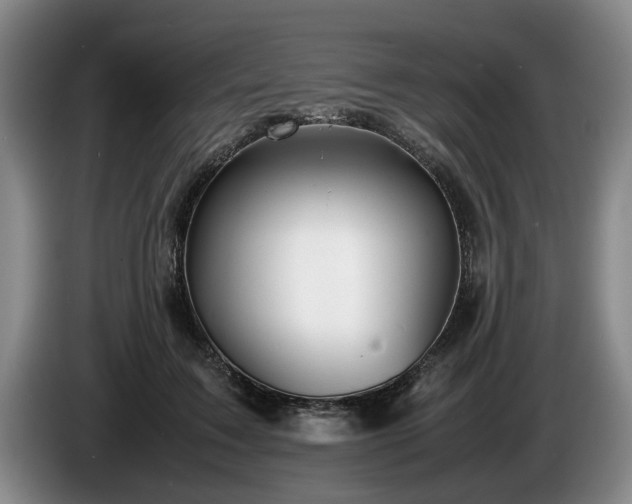 X0000086230603200704051158