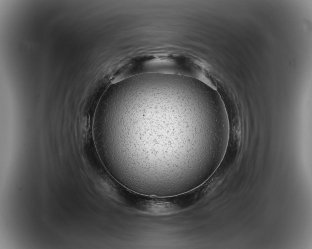 X0000086230605200704051158