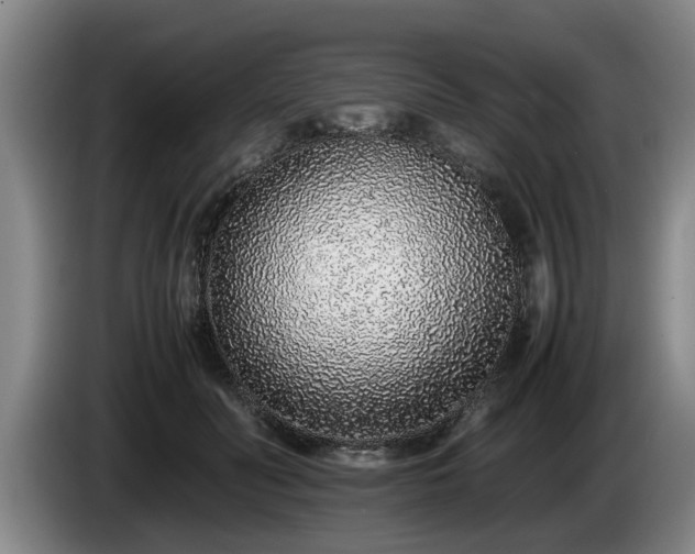 X0000086230606200704051158