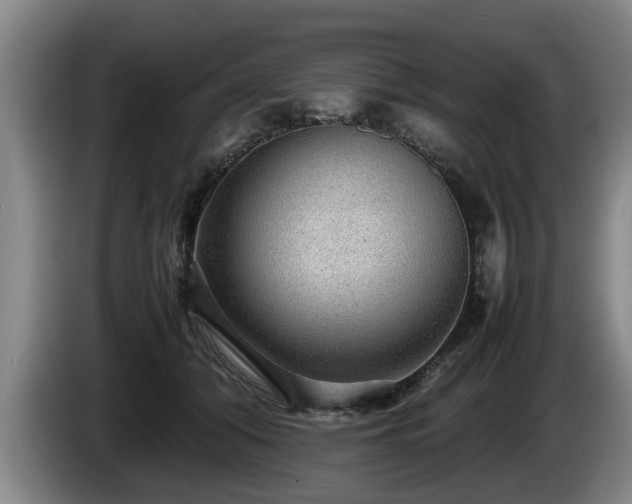 X0000086230608200704051158