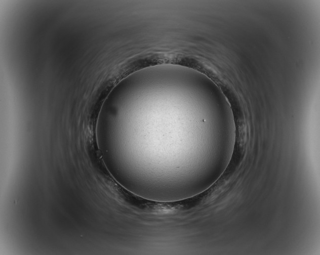 X0000086230613200704051158