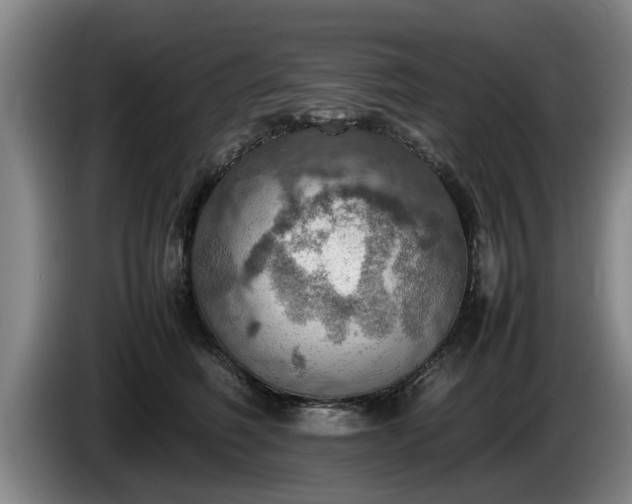 X0000086230614200704051158