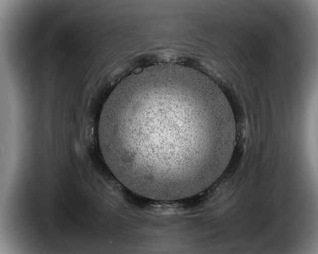 X0000086230615200704051158