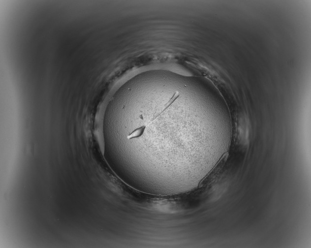 X0000086230616200704051158