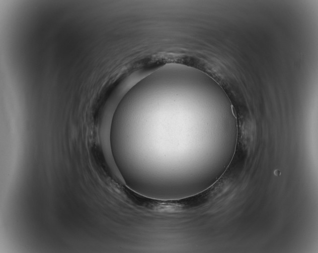 X0000086230617200704051158