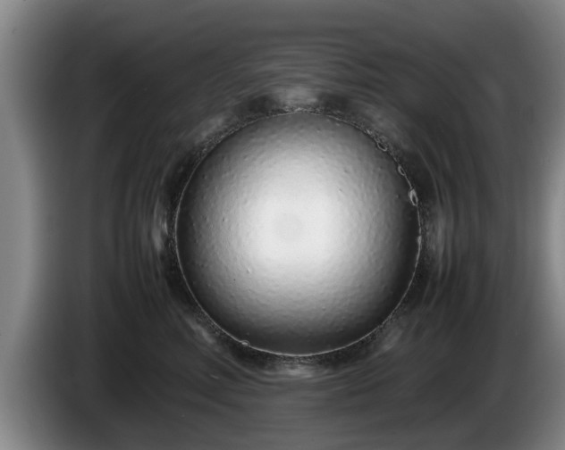 X0000086230618200704051158