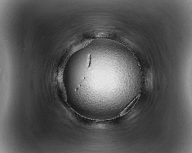 X0000086230620200704051158