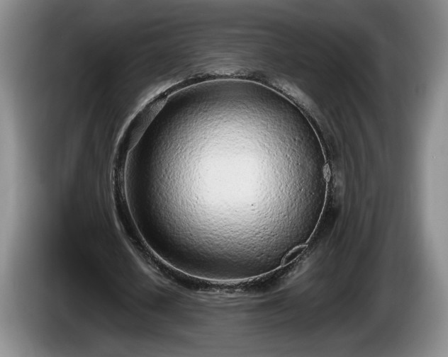 X0000086230626200704051157