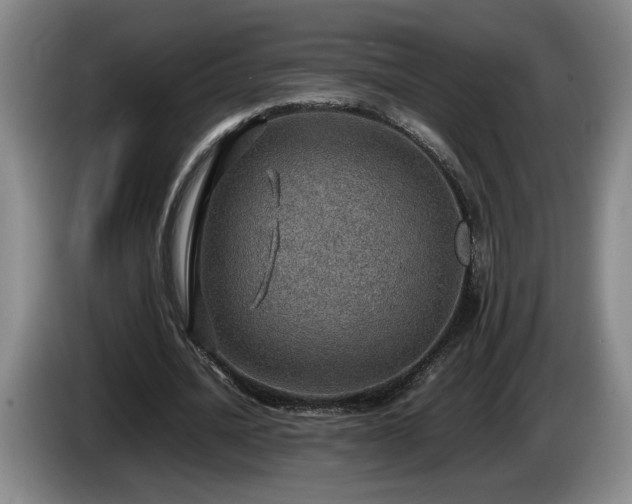 X0000086230628200704051157