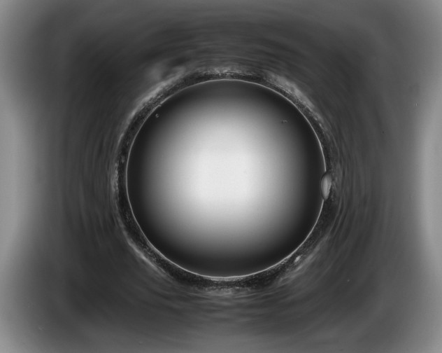 X0000086230629200704051157