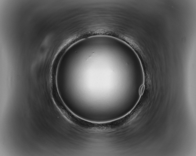 X0000086230630200704051157