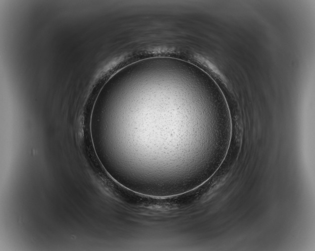 X0000086230631200704051157