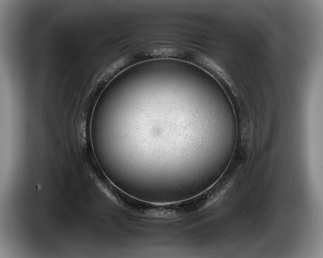 X0000086230633200704051157