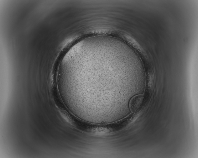 X0000086230636200704051157