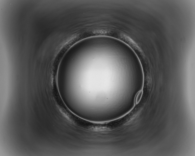 X0000086230637200704051157