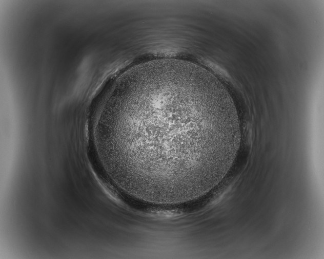 X0000086230638200704051157