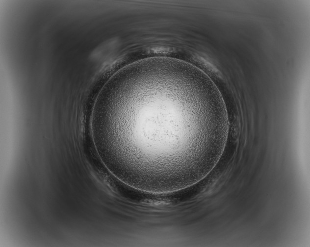 X0000086230639200704051157