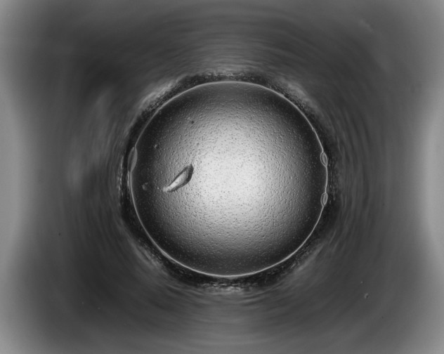 X0000086230640200704051157