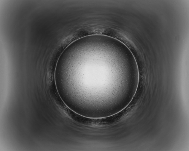 X0000086230641200704051157