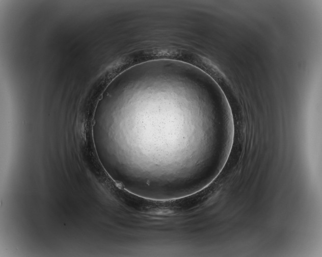 X0000086230643200704051157