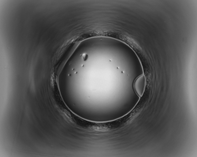 X0000086230644200704051157