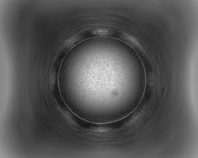 X0000086230645200704051157