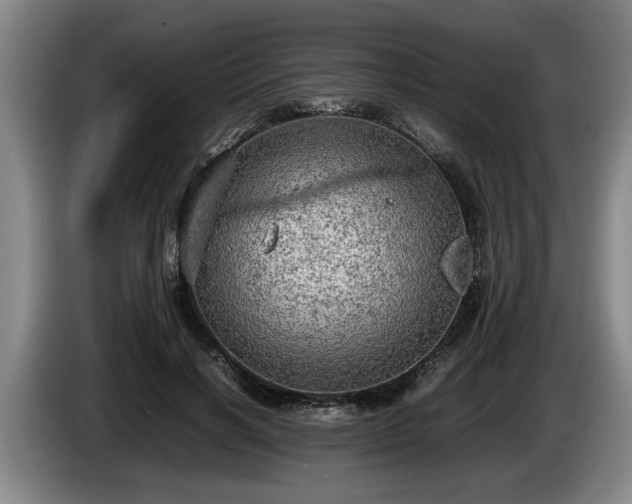 X0000086230646200704051157