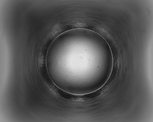 X0000086230647200704051157