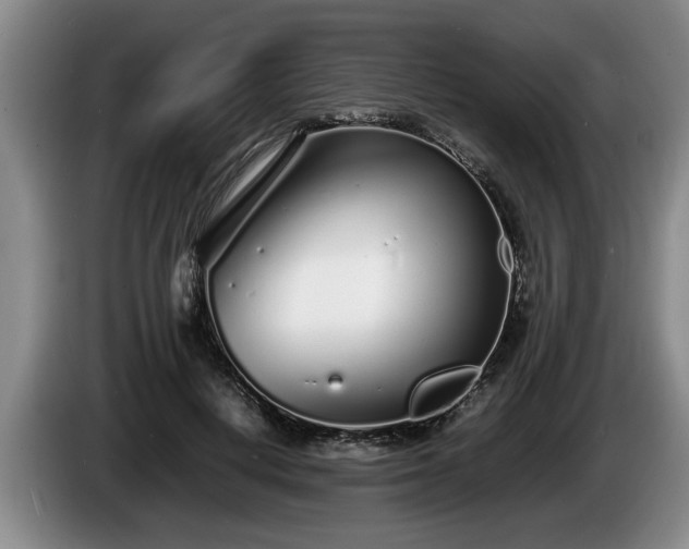 X0000086230648200704051157