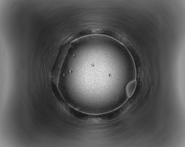 X0000086230650200704051157