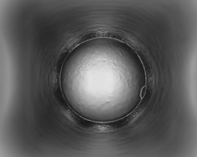 X0000086230654200704051157