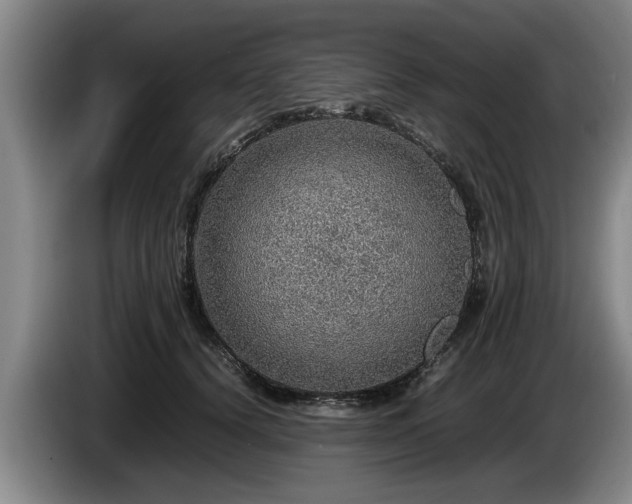 X0000086230656200704051157