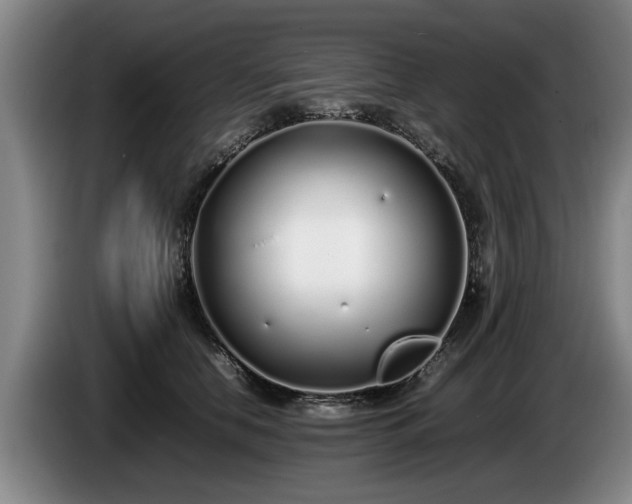 X0000086230658200704051157